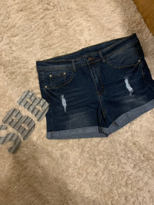 Daisy Denim Shorts (Curvy)